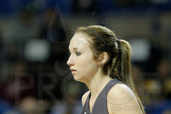 1A Girls State Finals-Nemo Vista vs. Wonderview 3-14-2014 (© Justin Manning) JWM_0095