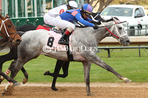 z190125_SmartyJonesStakesDay_Manning_0385