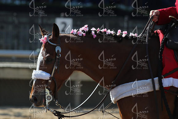 z250412_Count Fleet Sprint Handicap_JWM_1093