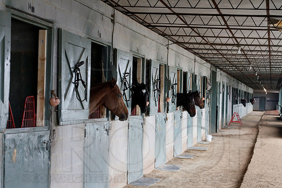 Oaklawn 1-13-13 (Justin Manning)0003