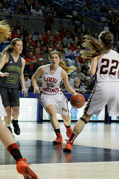 1A Girls State Finals-Nemo Vista vs. Wonderview 3-14-2014 (© Justin Manning) JWM_0051