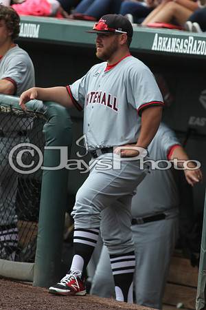 5A State Baseball Finals Harrison vs. White Hall 5-23-2015 (©Justin Manning) JWM_0031