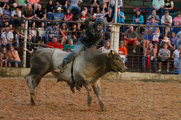 Bull Bash (Brickfest) 6-28-2014 (©Justin Manning) JWM_510