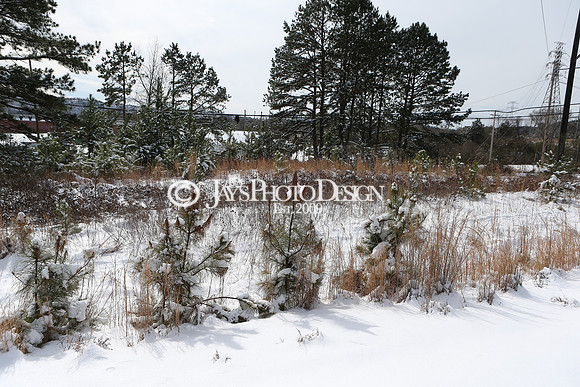SnowDay 2-16-21_JWM0016