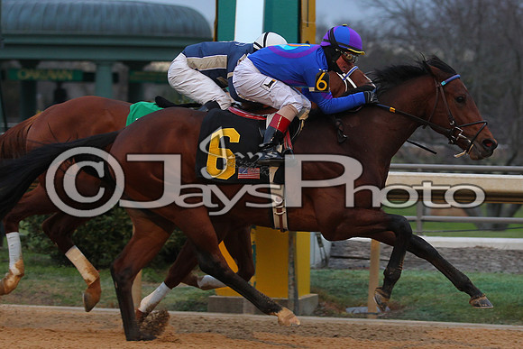 Oaklawn Smarty Jones Stakes 1-18-2016 (©Justin Manning) JWM_(0468