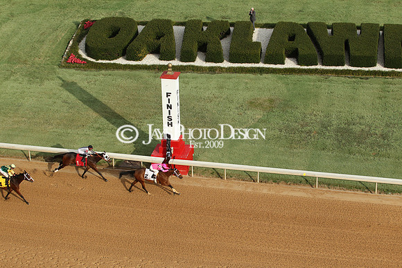 z190125_SmartyJonesStakesDay_Manning_0043
