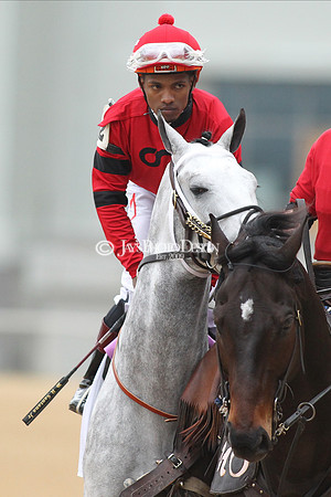 z200217_SouthwestStakesDay_Manning_3970