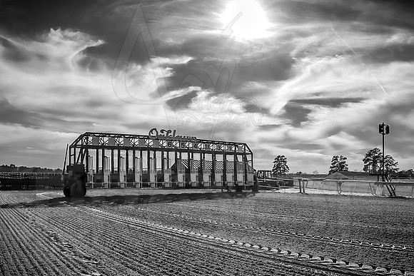 Oaklawn Park (Scenery) 1-26-14 (©Justin Manning) JWM_0362-2