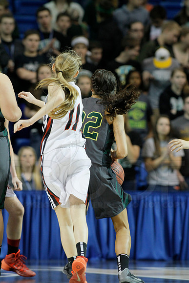 1A Girls State Finals-Nemo Vista vs. Wonderview 3-14-2014 (© Justin Manning) JWM_0205