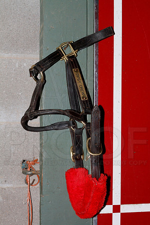 Oaklawn 1-13-13 (Justin Manning)0020