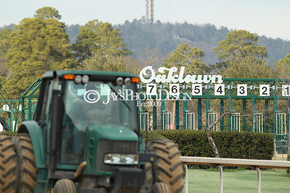 z190125_SmartyJonesStakesDay_Manning_0143