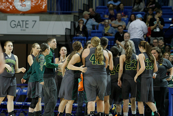 1A Girls State Finals-Nemo Vista vs. Wonderview 3-14-2014 (© Justin Manning) JWM_0222