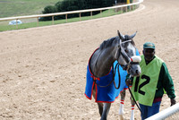 Oaklawn Park 3-3-13 JWM0019 (© Angela Greb)