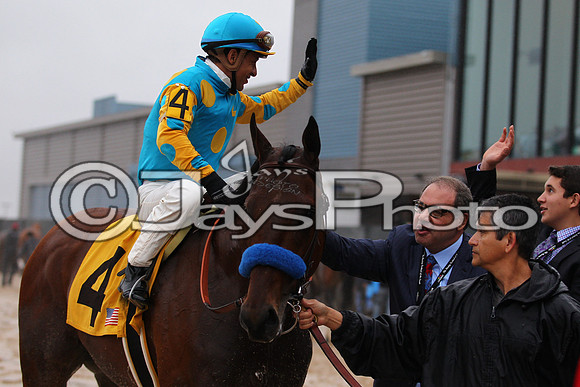 Oaklawn (Rebel Stakes Day) 3-14-2015 (©Justin Manning) JWM_432