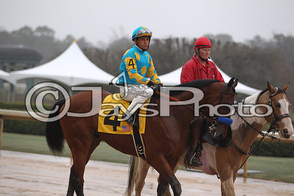 Oaklawn (Rebel Stakes Day) 3-14-2015 (©Justin Manning) JWM_244