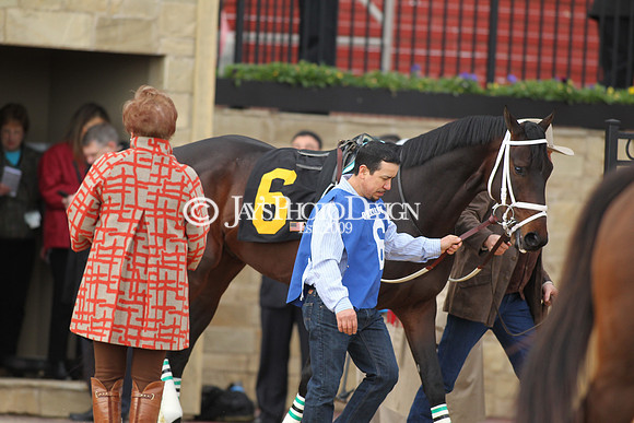 z190218_SouthwestStakesDay_Manning_962