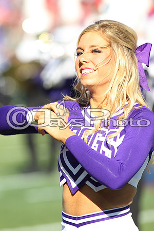 Autozone Liberty Bowl Georgia Bulldogs vs TCU Horned Frogs_JWM_01327
