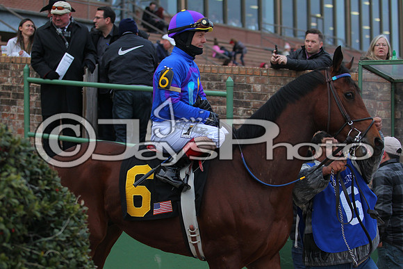 Oaklawn Smarty Jones Stakes 1-18-2016 (©Justin Manning) JWM_(0154