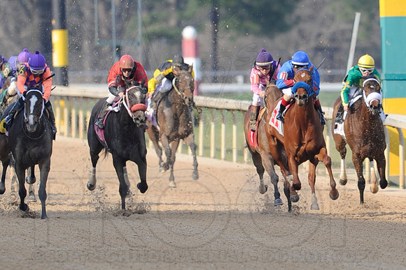 Honeybee Stakes (Grade III) 3-8-2014 (© Justin Manning) JWM_1398
