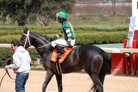 Oaklawn Park 3-3-13 JWM0007 (© Angela Greb)