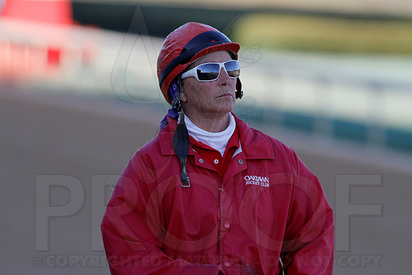 Smarty Jones Stakes 01-20-14 (©Justin Manning) JWM_0085