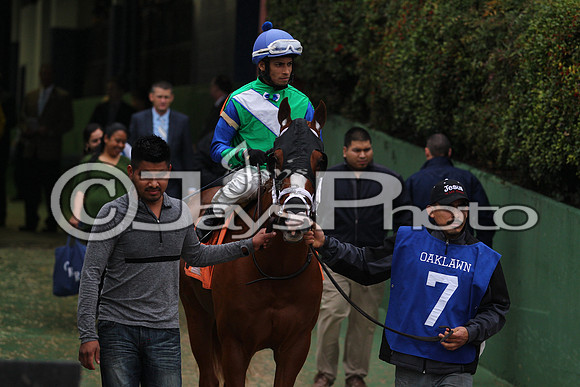 Oaklawn (Rebel Stakes Day) 3-14-2015 (©Justin Manning) JWM_210