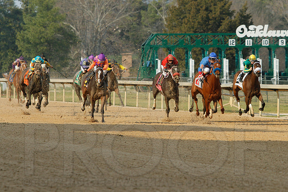 Honeybee Stakes (Grade III) 3-8-2014 (© Justin Manning) JWM_0278