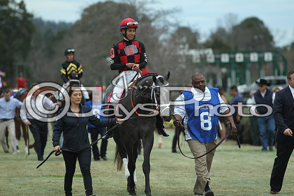 Southwest Stakes (GradeIII) 2-20-17_JWM00730