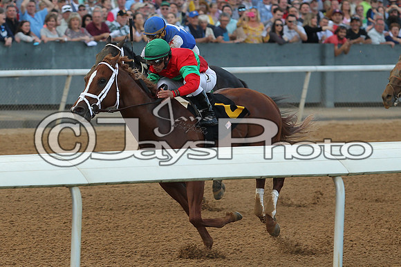 JWM_170318_RebelStakes_01047