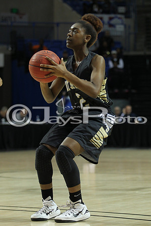 Pulaski Academy vs. Hot Springs 5A Girls State Finals 3-14-2015 (©Justin Manning) JWM_388