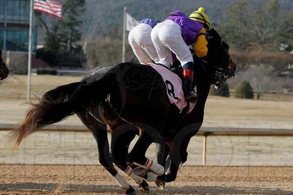 Oaklawn Park (Scenery) 1-26-14 (©Justin Manning) JWM_0225