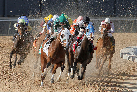 Oaklawn Park (Scenery) 1-26-14 (©Justin Manning) JWM_0024