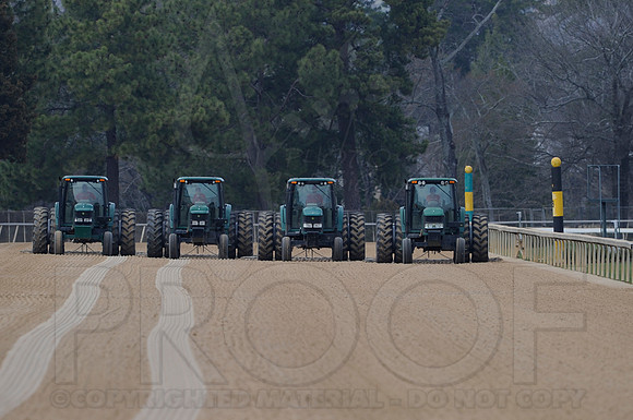 Honeybee Stakes (Grade III) 3-8-2014 (© Justin Manning) JWM_1132