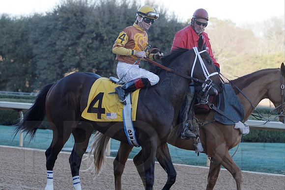 Smarty Jones Stakes 01-20-14 (©Justin Manning) JWM_0349