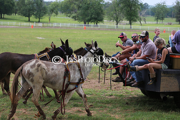 Whiskey Ridge Ranch (Chuckwagon Races) 5-25-24_JWM_0865