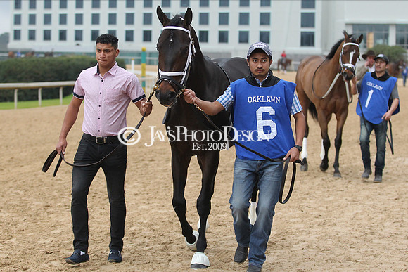 z200217_SouthwestStakesDay_Manning_3106