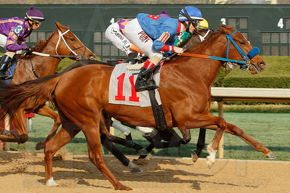 Honeybee Stakes (Grade III) 3-8-2014 (© Justin Manning) JWM_0268