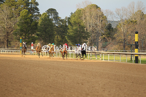 z190125_SmartyJonesStakesDay_Manning_0369