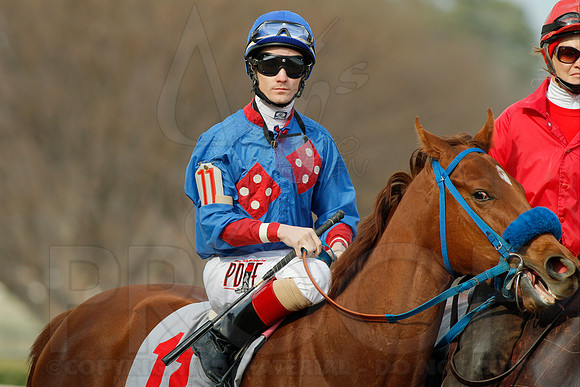 Honeybee Stakes (Grade III) 3-8-2014 (© Justin Manning) JWM_0218
