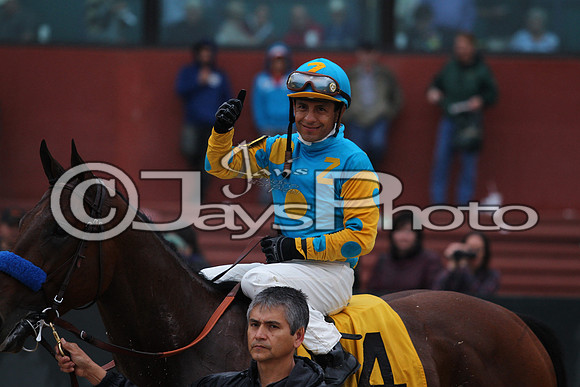 Oaklawn (Rebel Stakes Day) 3-14-2015 (©Justin Manning) JWM_456