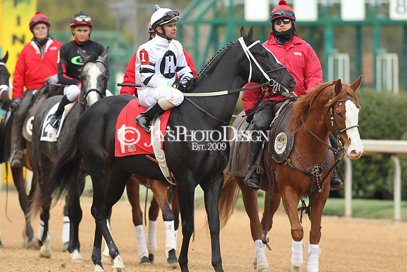 z190125_SmartyJonesStakesDay_Manning_0205