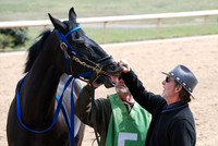 Oaklawn Park 3-3-13 JWM0011 (© Angela Greb)