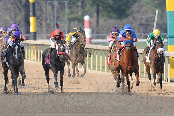 Honeybee Stakes (Grade III) 3-8-2014 (© Justin Manning) JWM_1397