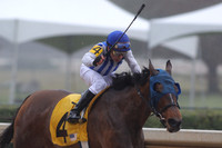 Oaklawn (Rebel Stakes Day) 3-14-2015 (©Justin Manning) JWM_050