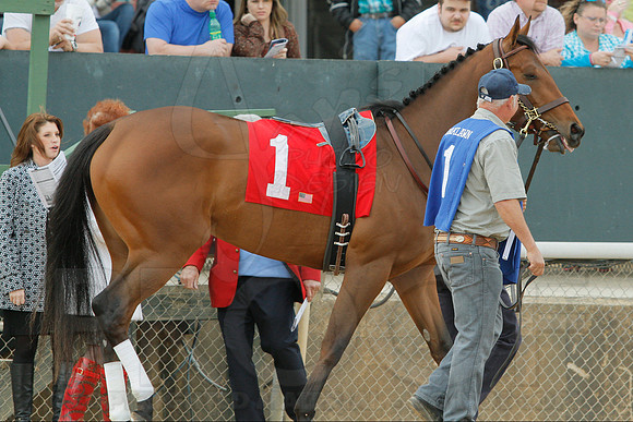 Honeybee Stakes (Grade III) 3-8-2014 (© Justin Manning) JWM_0080