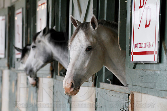 Oaklawn 1-13-13 (Justin Manning)0001