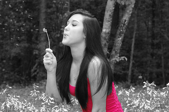 DSC_0019-2-2 black and white-color4