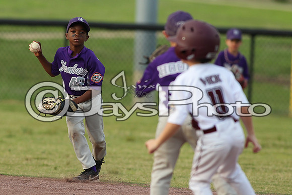 Benton vs. Hamburg 6 year old All Stars 6-29-2015 (©Justin Manning) JWM_0141