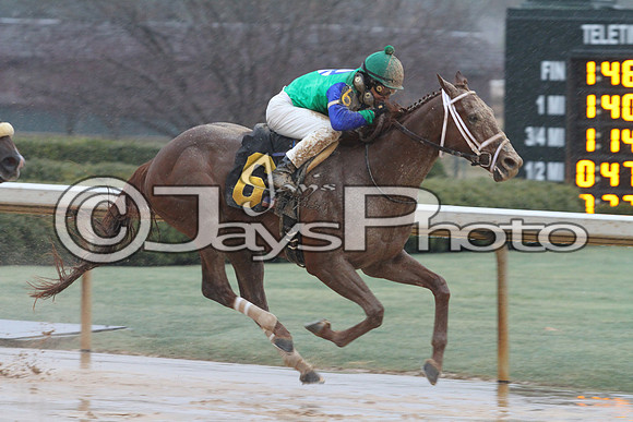 50th Running Southwest Stakes (Grade III) 2-22-2015 (©Justin Manning) JWM_139