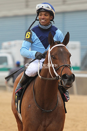 z190218_SouthwestStakesDay_Manning_421